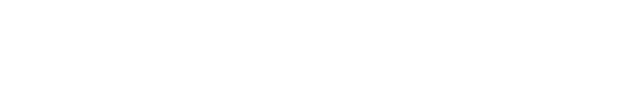 SKYYROKKET